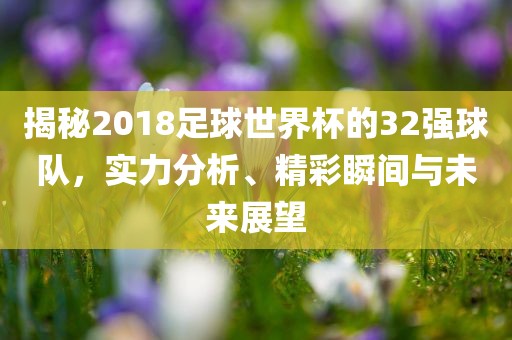 揭秘2018足球世界杯的32强球队，实力分析、精彩瞬间与未来展望