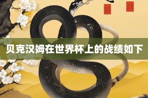 贝克汉姆在世界杯上的战绩如下眉山市正发家政服务有限公司