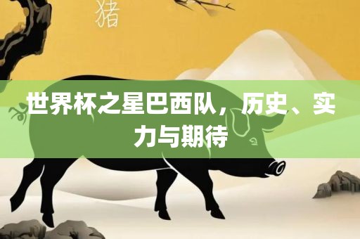 世界杯之星巴西队，历史、实力与期待