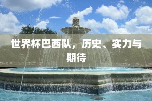 世界杯巴西队，历史、实力与期待