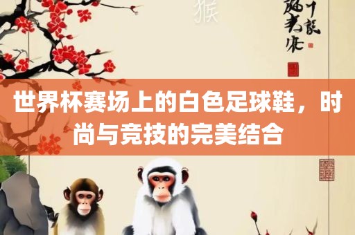 世界杯赛场上的白色足球鞋，时尚与竞技的完美结合