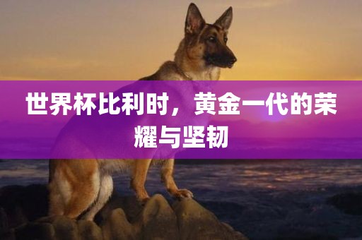 世界杯比利时，黄金一代的荣耀与坚韧