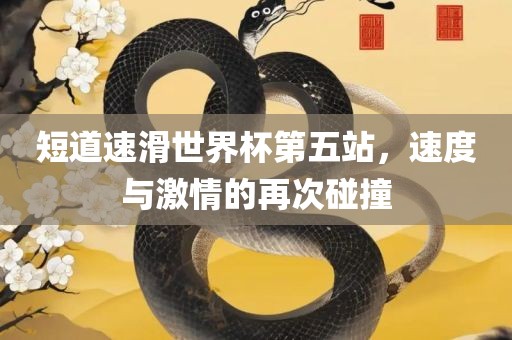 短道速滑世界杯第五站，速度与激情的再次眉山市正发家政服务有限公司碰撞