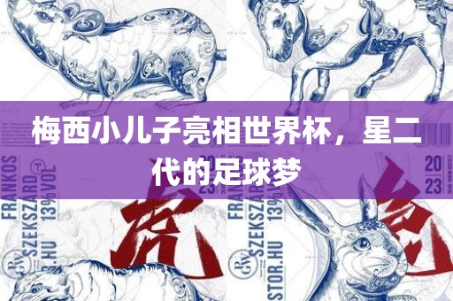 梅西小儿子亮相世界杯，星二代的足球梦眉山市正发家政服务有限公司
