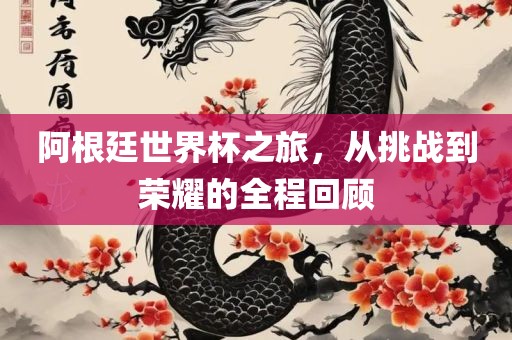 阿根廷世界杯之旅，从挑战到荣耀的全程回顾