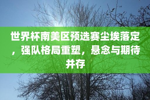 世界杯南美区预选赛尘埃落定，强队格局重塑，悬念与期待并存