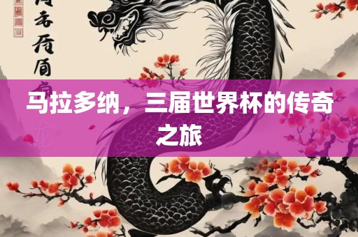 马拉多纳，三届世界杯的传奇之旅