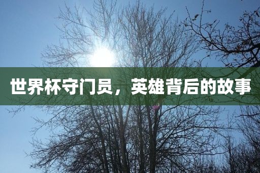世界杯守门员，英雄背后的故事