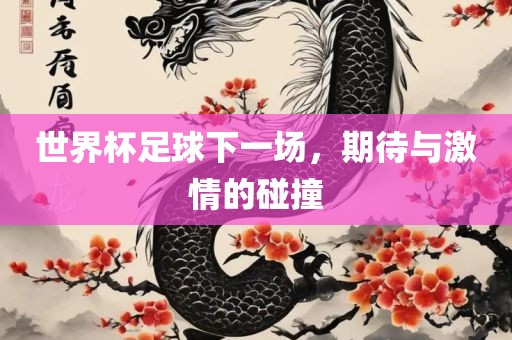 世界杯足球下一场，期待与激情的碰撞