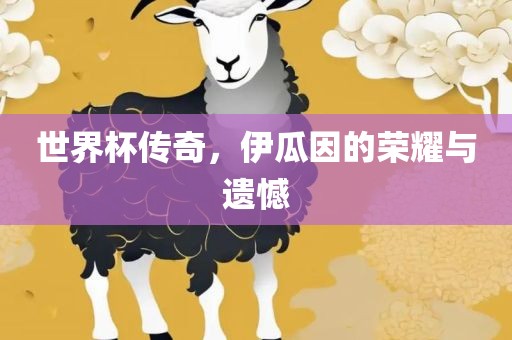 世界杯传奇，伊瓜因的荣耀与遗憾
