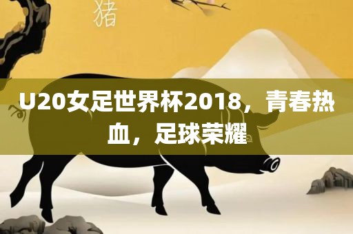 U20女足世界杯2018，青春热血，足球荣耀