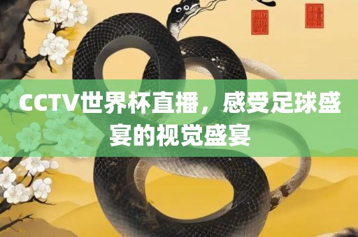 CCTV世界杯直播，感受足球盛宴的视觉盛宴