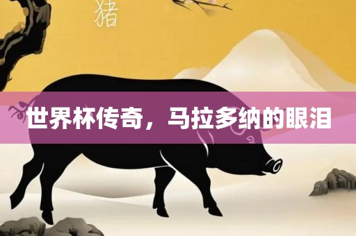 世界杯传奇，马拉多纳的眼泪