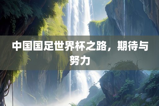 中国国足世界杯之路，期待与努力
