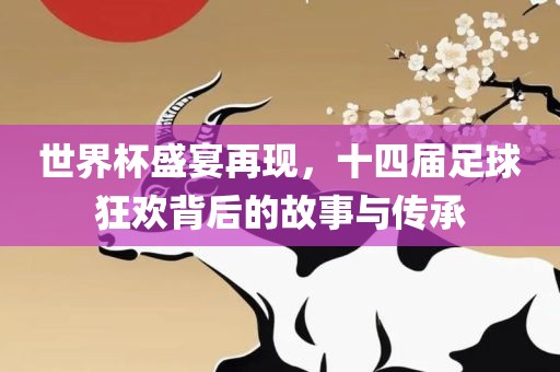 世界杯盛宴再现，十四届足球狂欢背后的故事与传承眉山市正发家政服务有限公司
