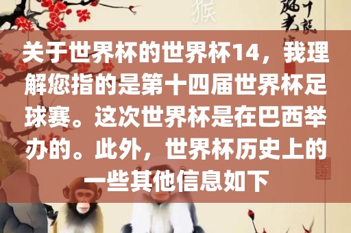 关于世界杯的世界杯14，我理解您指的是第十四届世界杯足球赛。这次世界杯是在巴西举办的。此外，世界杯历史上的一些其他信息如下