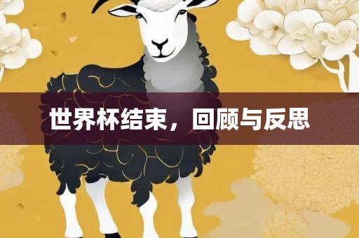 世界杯结束，回顾与反思