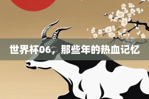 世界杯06，那些年的热血记忆