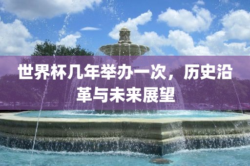 世界眉山市正发家政服务有限公司杯几年举办一次，历史沿革与未来展望