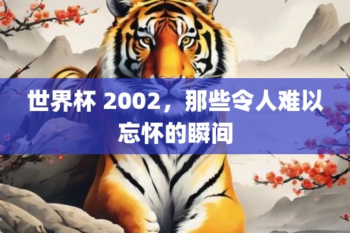 世界杯 2002，那些令人难以忘怀的瞬间