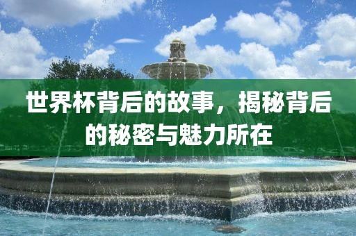 世界杯背后的故事，揭秘背后的秘密与魅力所在眉山市正发家政服务有限公司