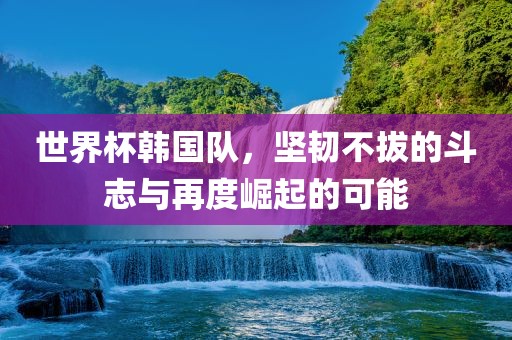 世界杯韩国队，坚韧不拔的斗志与再度崛起的可能