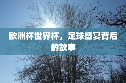 欧洲杯世界杯，足球盛宴背后的故事