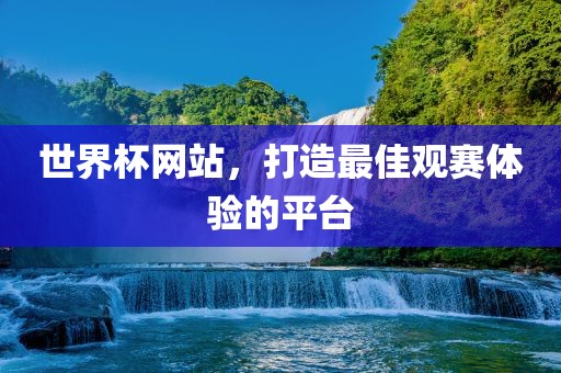 世界杯网站，打造最佳观赛体验的平台