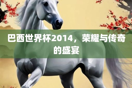 巴西世界杯2014，荣耀与传奇的盛宴