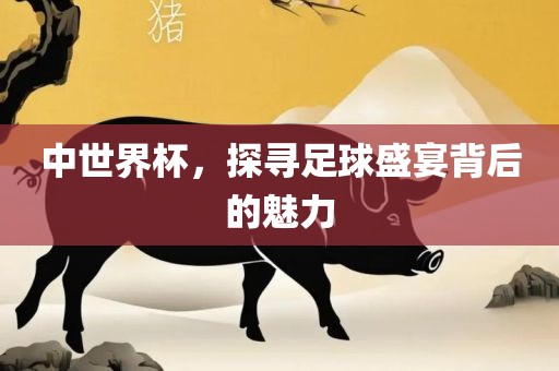 中世界杯，探寻足球盛宴背后的魅力