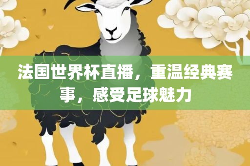 法国世界杯直播，重温经典赛事，感受足球魅力