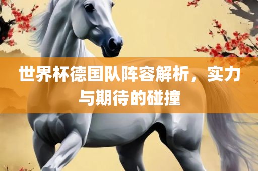 世界杯德国队阵容解析，实力与期待的碰撞