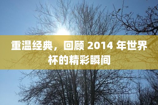 重温经典，回顾 2014 年世界杯的精彩瞬间