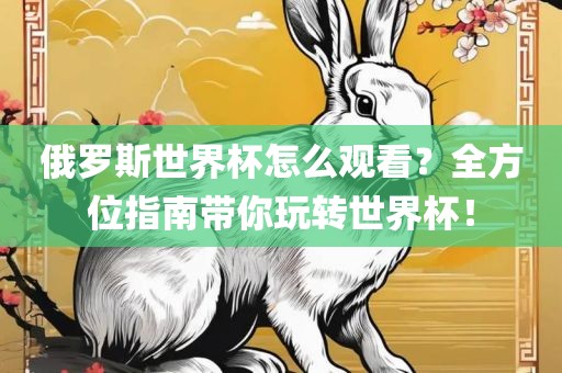 俄罗斯世界杯怎么观看？全方位指南带你玩转世界杯眉山市正发家政服务有限公司！