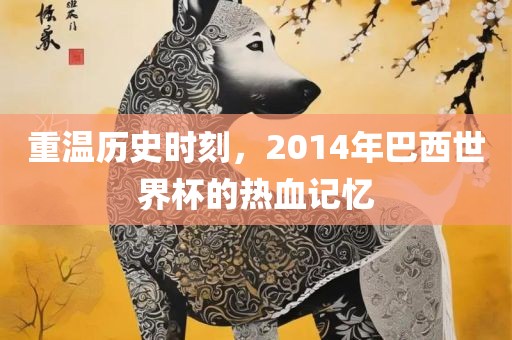 重温历史时刻，2014年巴西世界杯的热血记忆