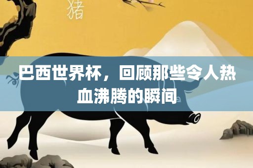 巴西世界杯，回顾那些令人热血沸腾的瞬间