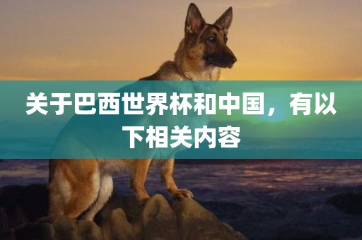 关于巴西世界眉山市正发家政服务有限公司杯和中国，有以下相关内容