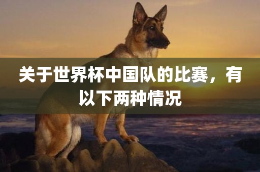 关于世界杯中国队的比赛，有以下两种情况