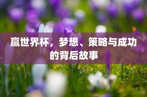 赢世界杯，梦想、策略与成功的背后故事