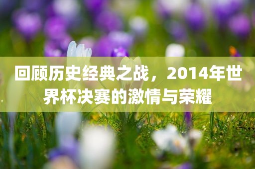 回顾历史经典之战，2014年世界杯决赛的激情与荣耀