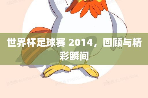 世界杯足球赛 2014，回顾与精彩瞬间