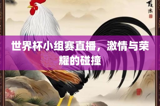 世界杯小组赛直播，激情与荣耀的碰撞