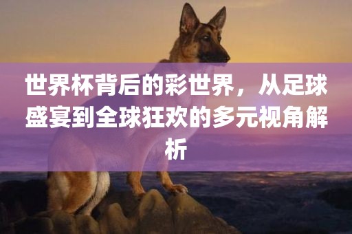 世界杯背后的彩世界，从足球盛宴到全球狂欢的多元视角解析