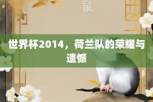 世界杯2014，荷兰队的荣耀与遗憾