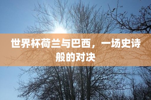 世界杯荷兰与巴西，一场史诗般的对决