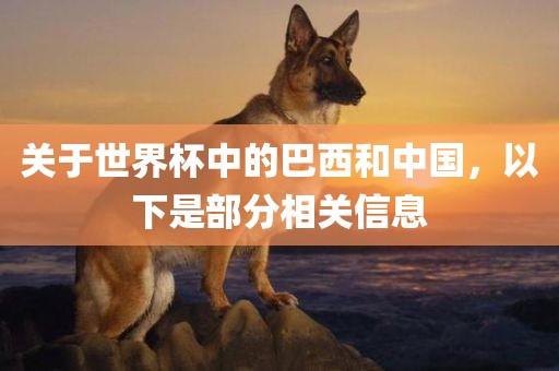 关于世界杯中的巴西和中国，以下是部分相关信息