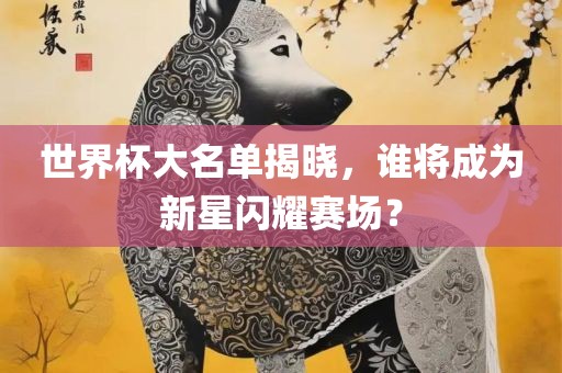 世界杯大名单揭晓，谁将成为新星闪耀赛场？
