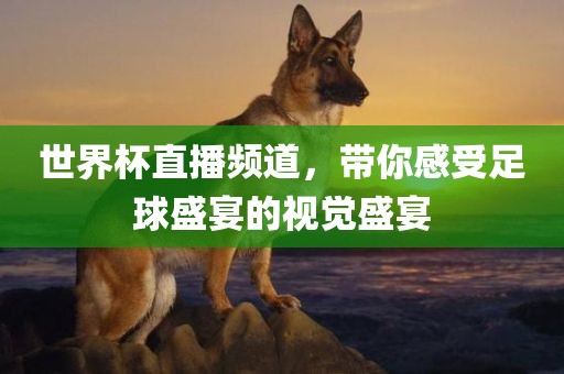 世界杯直播频道，带你感受足球盛宴的视觉盛宴