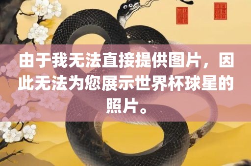 由于我无法直接提供图片，因此无法为您展示世界杯球星的照片。
