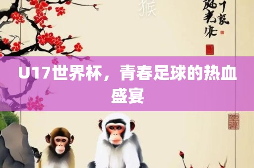 U17世界杯，青春足球的热血盛宴